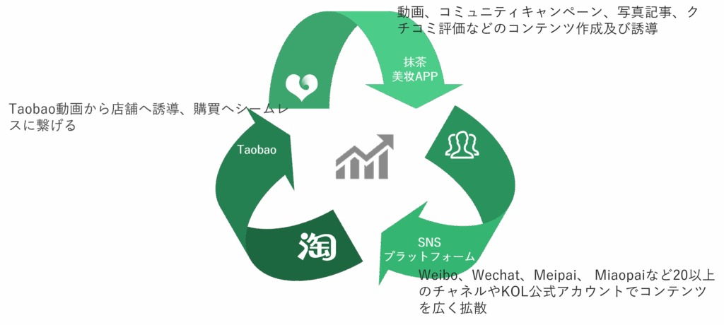 美容に関するマーケティングサイクル図