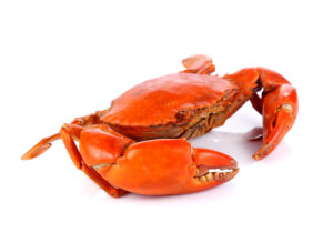 蟹