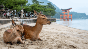 【週次ランキング解説】鹿、、食、雪！　訪日リピーター、地方の魅力を発掘中 2018年2月7日～2月13日都道府県口コミランキング